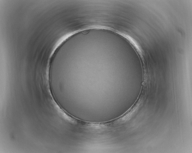 X0000115560910200911201820