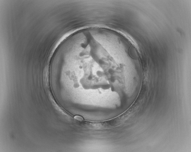 X0000115560911200911201820