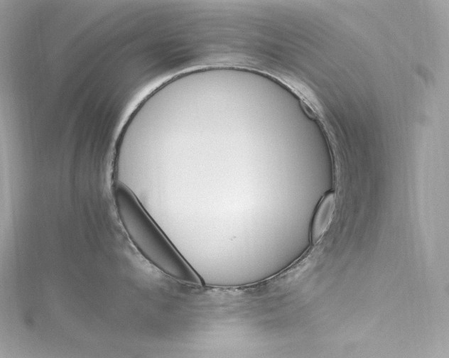 X0000115560912200911201820