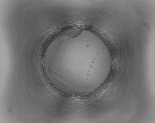 X0000115560913200911201819