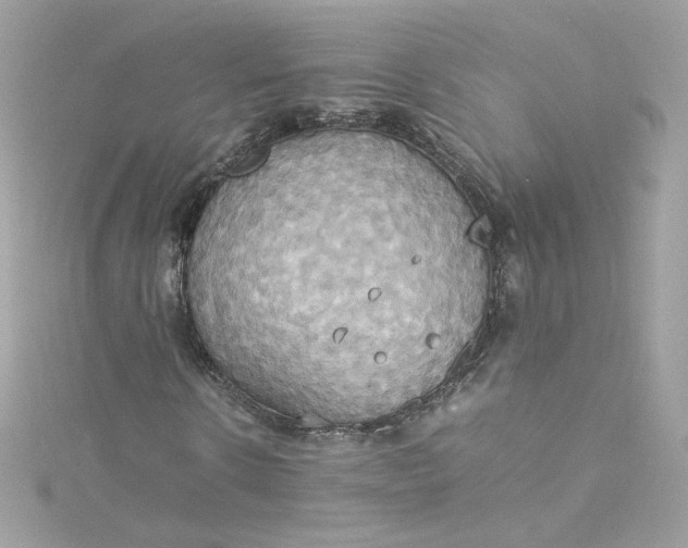 X0000115560914200911201819