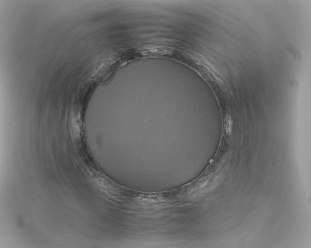 X0000115560915200911201819