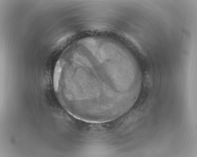 X0000115560918200911201819