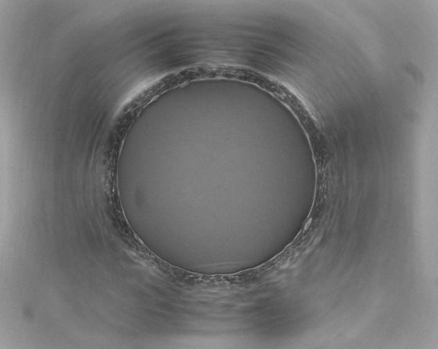 X0000115560919200911201819