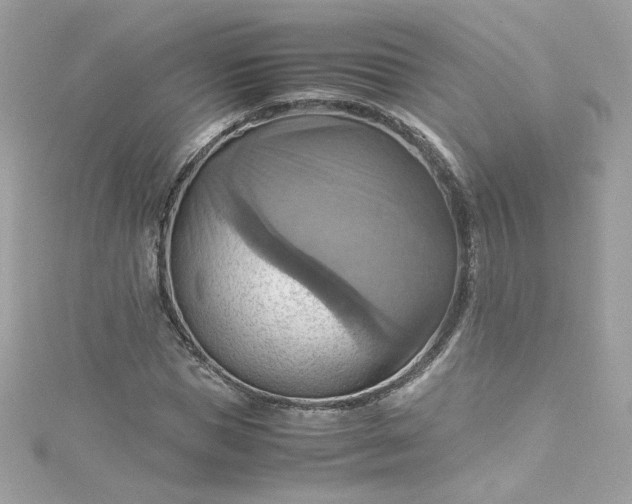 X0000115560921200911201819