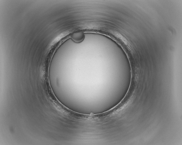 X0000115560922200911201819