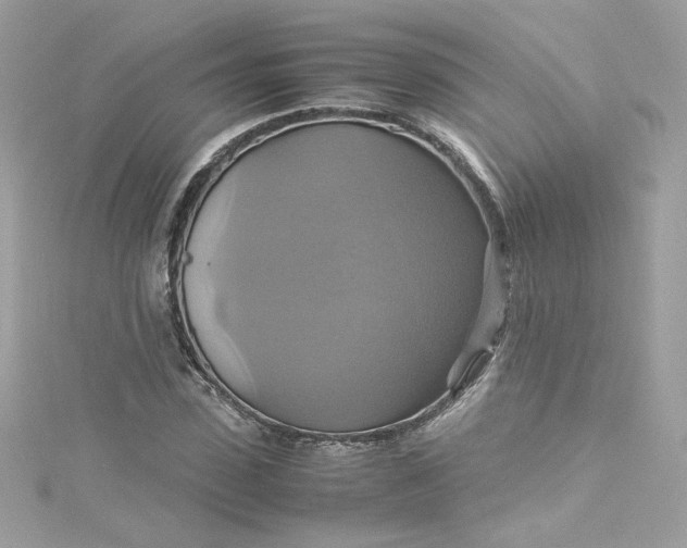 X0000115560923200911201819