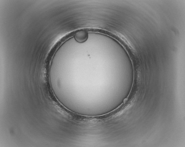 X0000115560926200911201819