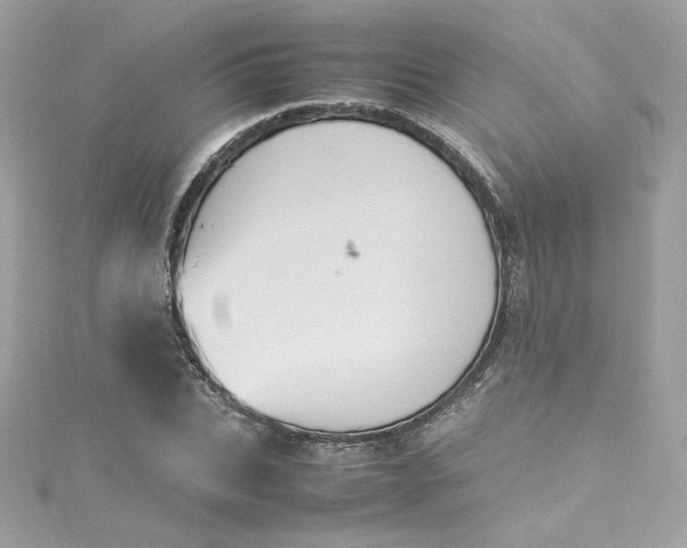 X0000115560927200911201819