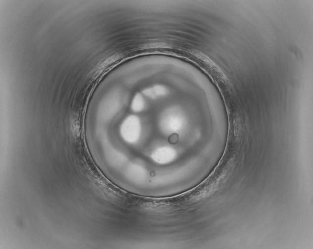 X0000115560929200911201819