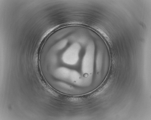 X0000115560933200911201819