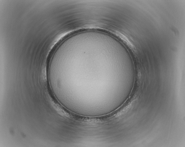 X0000115560934200911201819