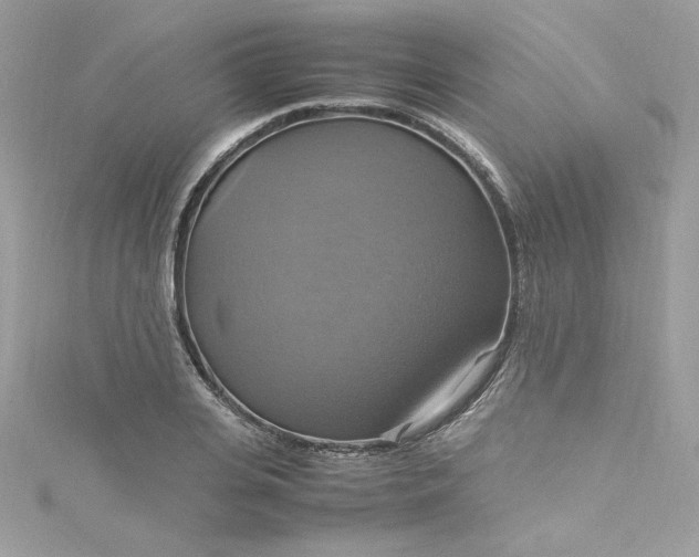 X0000115560935200911201819