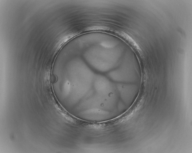 X0000115560937200911201819