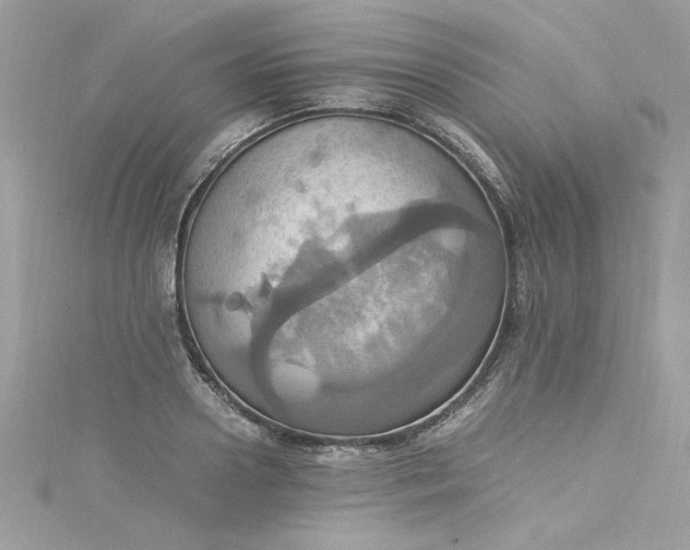 X0000115560938200911201819