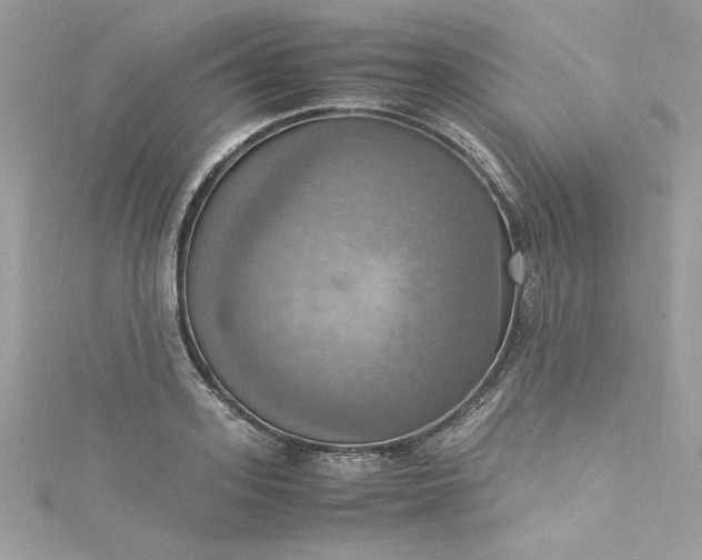 X0000115560939200911201819