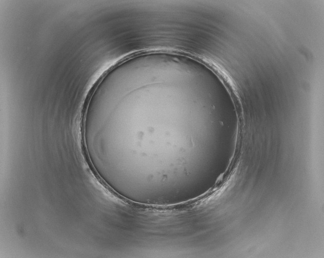 X0000115560941200911201819