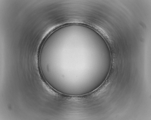 X0000115560942200911201819