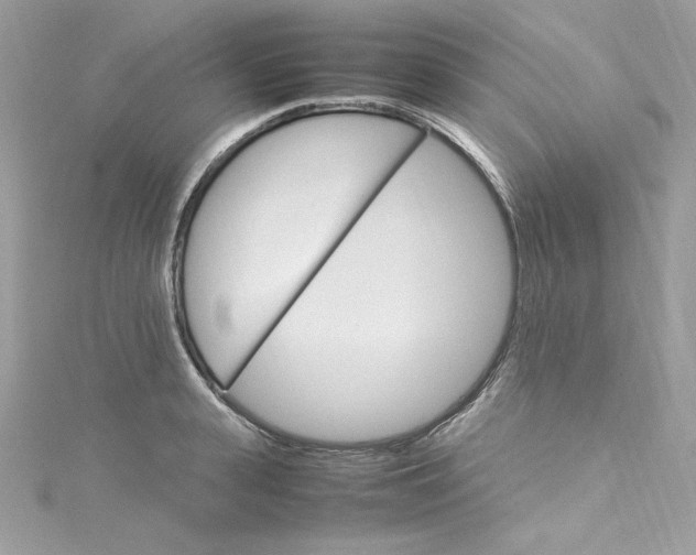 X0000115560943200911201819