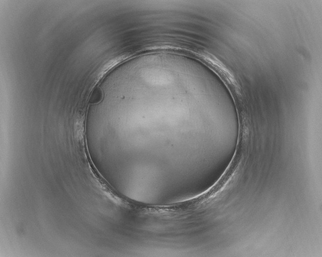 X0000115560945200911201819