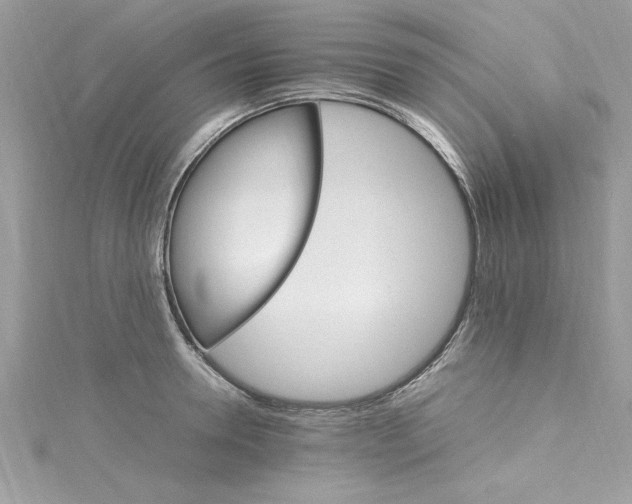 X0000115560946200911201819