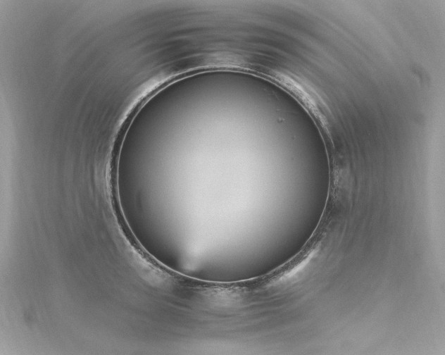 X0000115560947200911201819