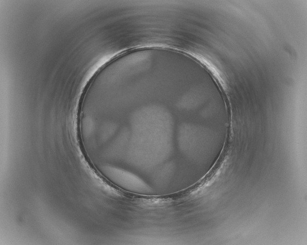 X0000115560949200911201819