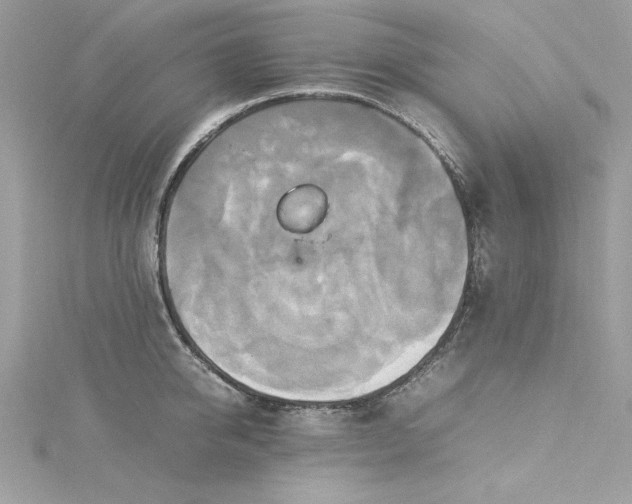 X0000115560950200911201820