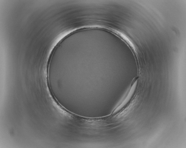 X0000115560951200911201820