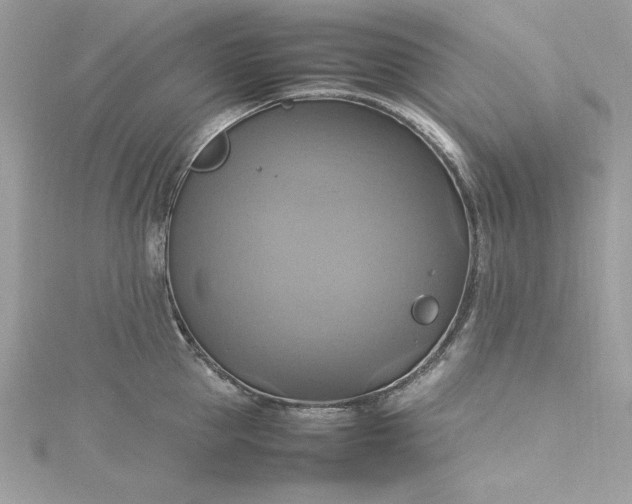 X0000115560953200911201820