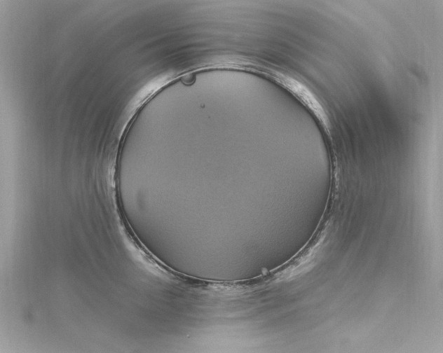 X0000115560954200911201820