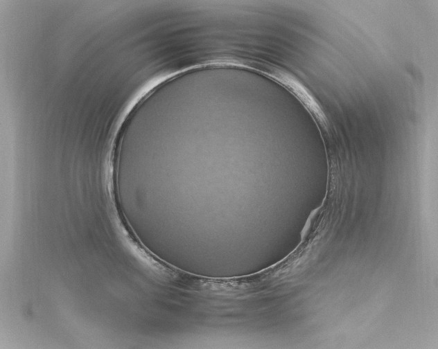 X0000115560955200911201820