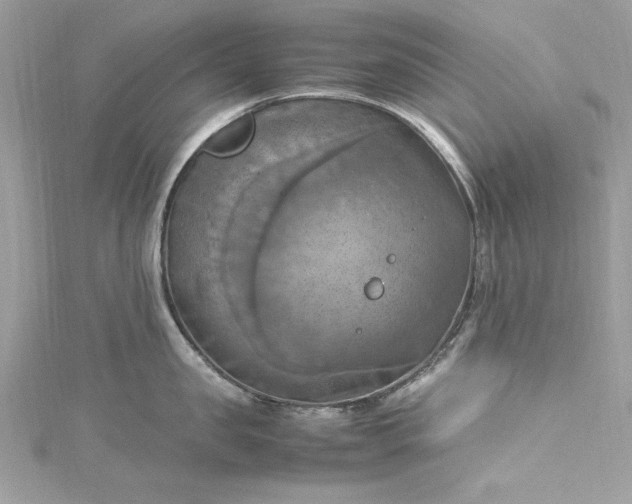 X0000115560957200911201820