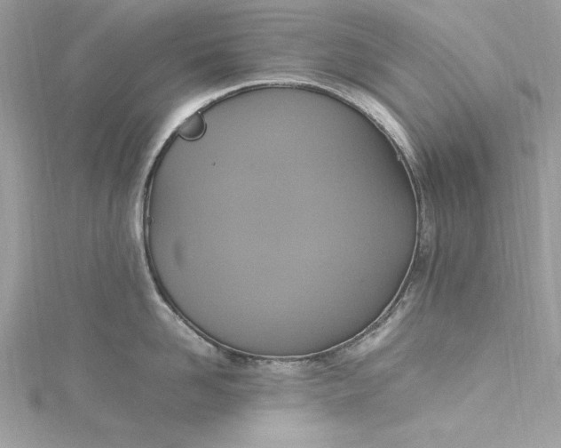 X0000115560958200911201820