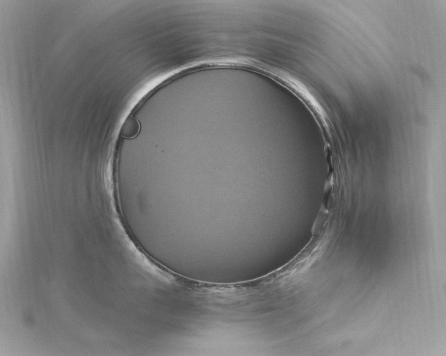 X0000115560959200911201820