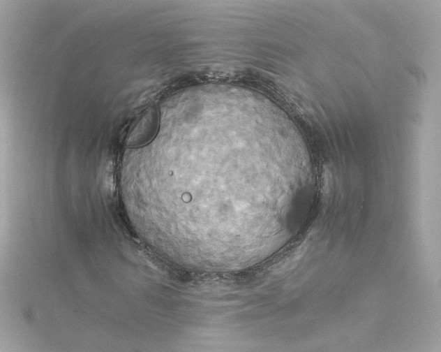 X0000115560962200911201819