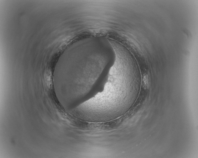 X0000115560963200911201819