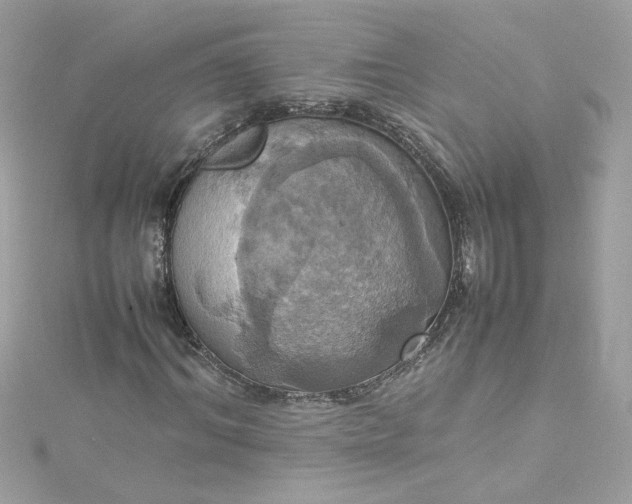 X0000115560964200911201819