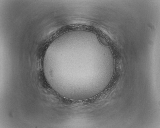 X0000115560965200911201819