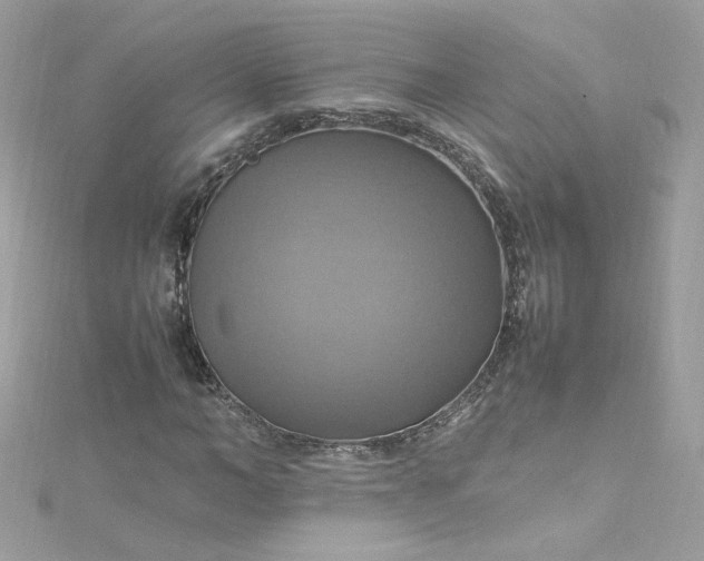 X0000115560966200911201819