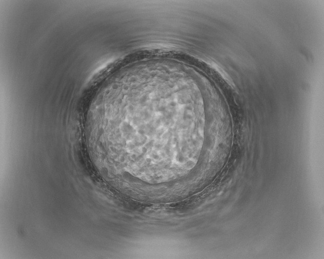 X0000115560967200911201819