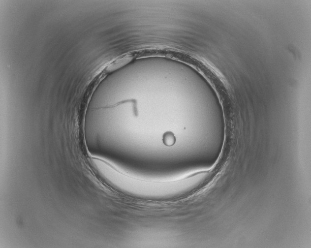 X0000115560969200911201819