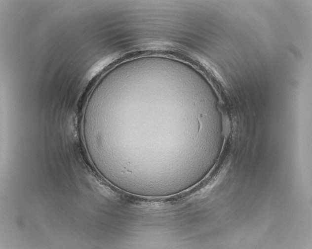 X0000115560970200911201819