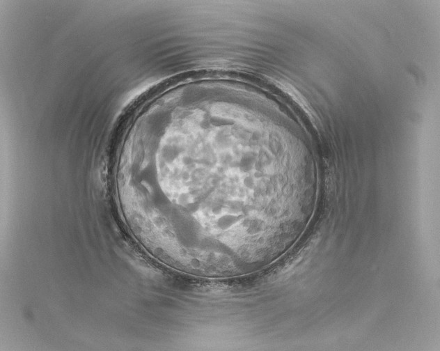 X0000115560971200911201819