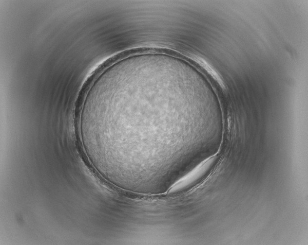 X0000115560972200911201819