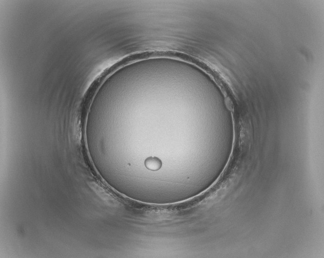 X0000115560973200911201819