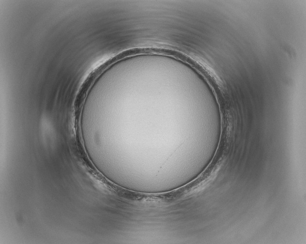 X0000115560974200911201819