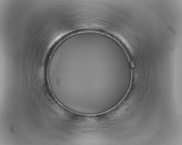 X0000115560975200911201819