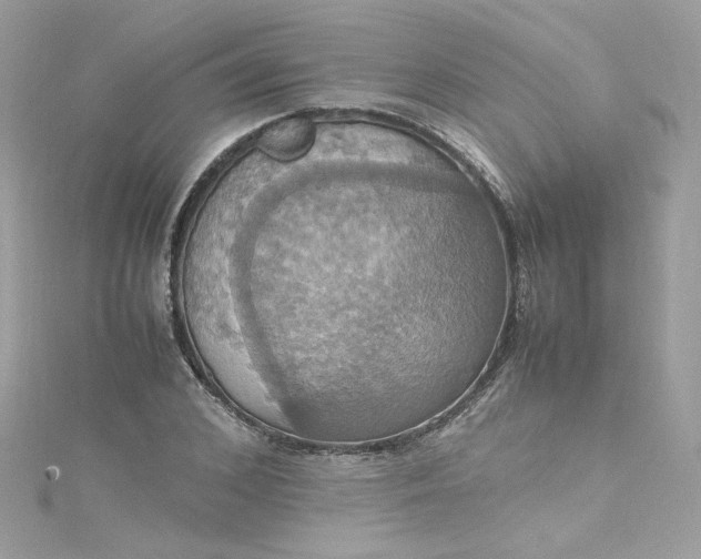 X0000115560976200911201819