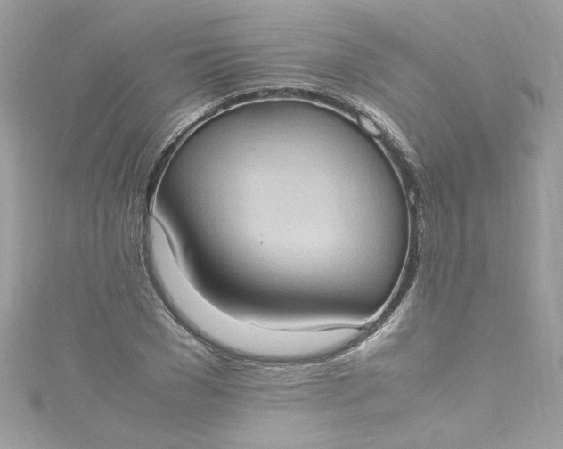 X0000115560977200911201819